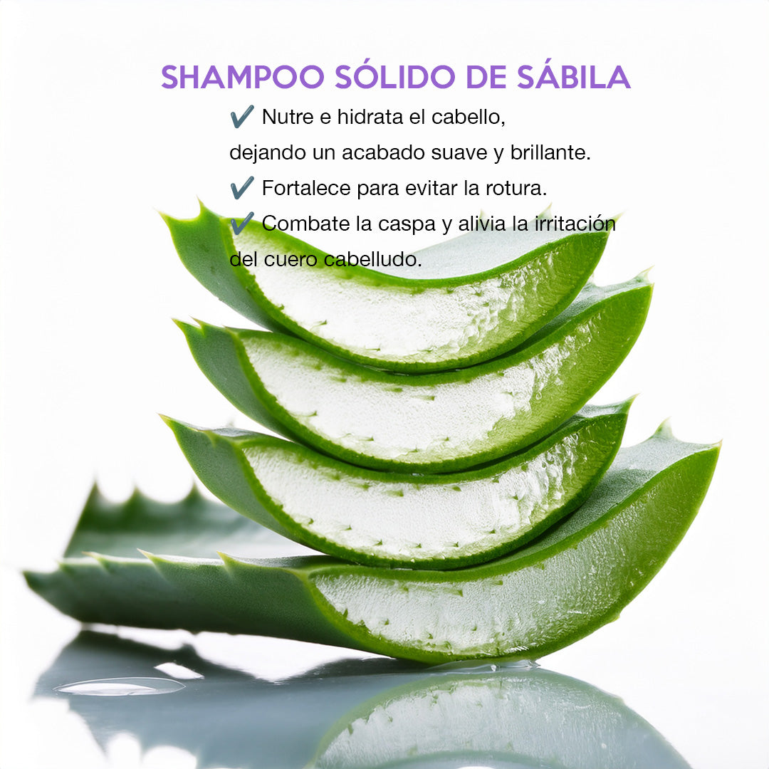 Shampoo sólido de sábila, hidratante y calmante, perfecto para cabello sensible y cuero cabelludo delicado