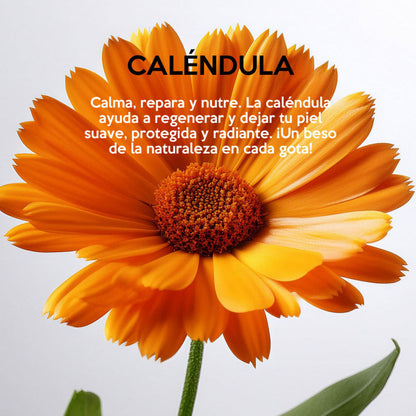 Fotografía de flor de caléndula con texto sobre sus beneficios para reducir rojeces, calmar y suavizar la piel en la rutina facial.