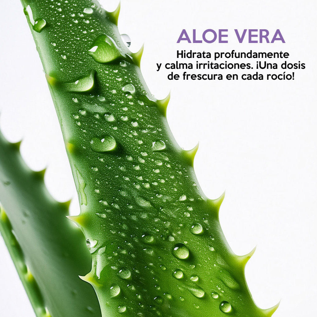 Imagen de aloe vera destacando sus propiedades hidratantes y calmantes, esencial en el tónico nutritivo facial de Farm To Body.