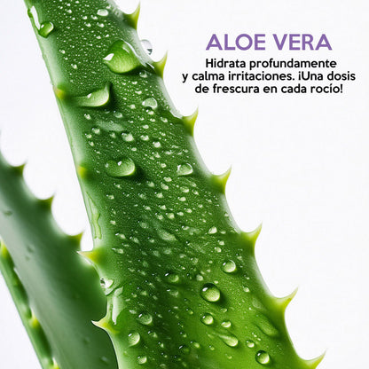 Imagen de aloe vera destacando sus propiedades hidratantes y calmantes, esencial en el tónico nutritivo facial de Farm To Body.
