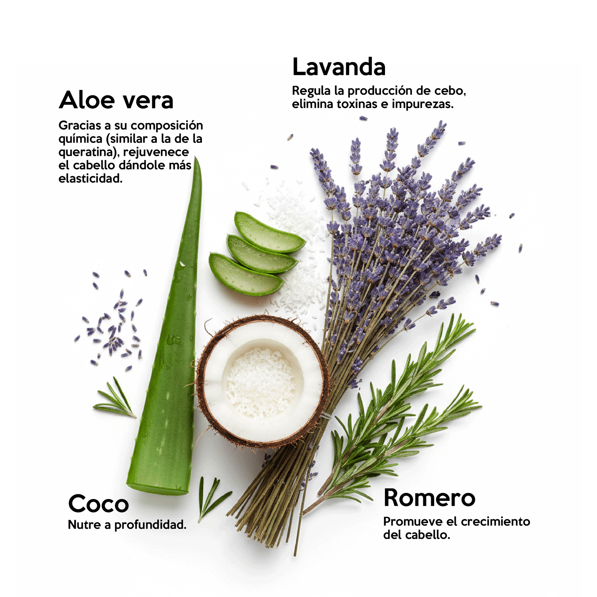 Shampoo anticaída Farm to Body con extracto de romero, ortiga y aceites esenciales naturales
