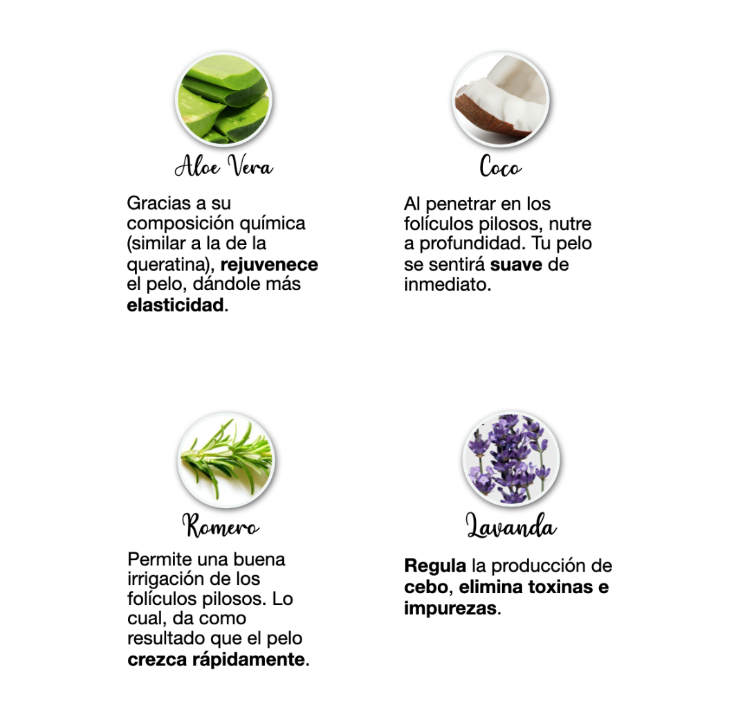 Shampoo anticaída Farm to Body con extracto de romero, ortiga y aceites esenciales naturales