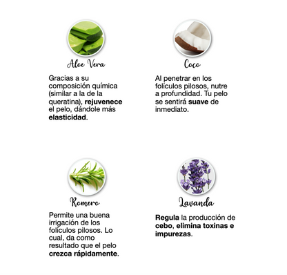 Shampoo anticaída Farm to Body con extracto de romero, ortiga y aceites esenciales naturales